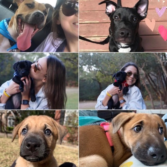 Meet your Posher - Picture 1 of 9